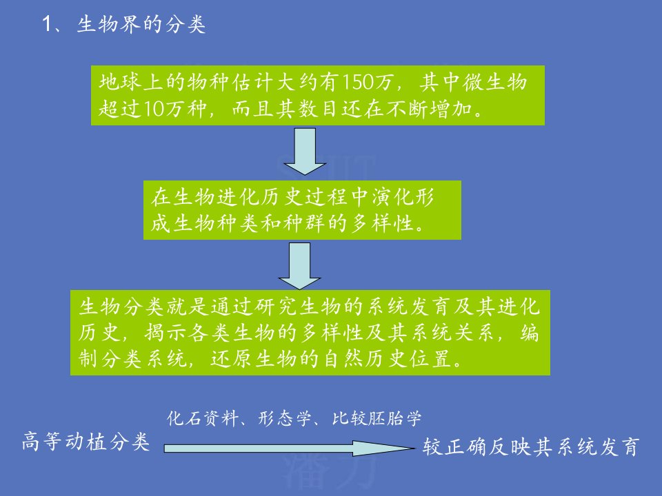 教学课件第二章微生物的分类鉴定及命名