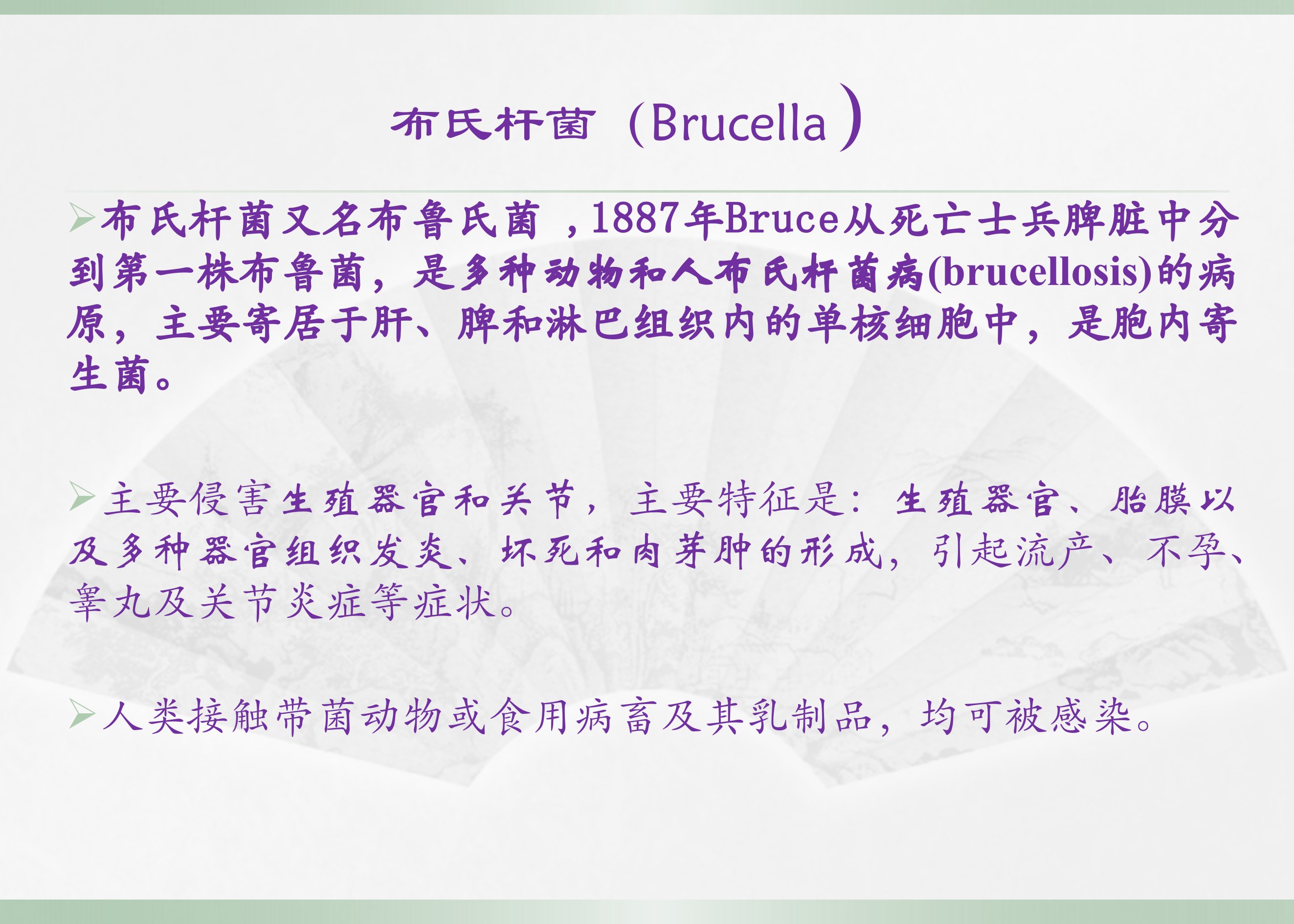 布氏杆菌(Brucella)