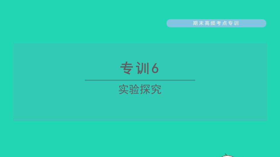 2022九年级化学下册期末高频考点专训6实验探究习题课件新版粤教版