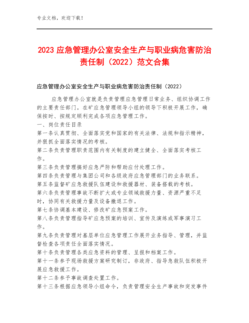 2023应急管理办公室安全生产与职业病危害防治责任制（2022）范文合集