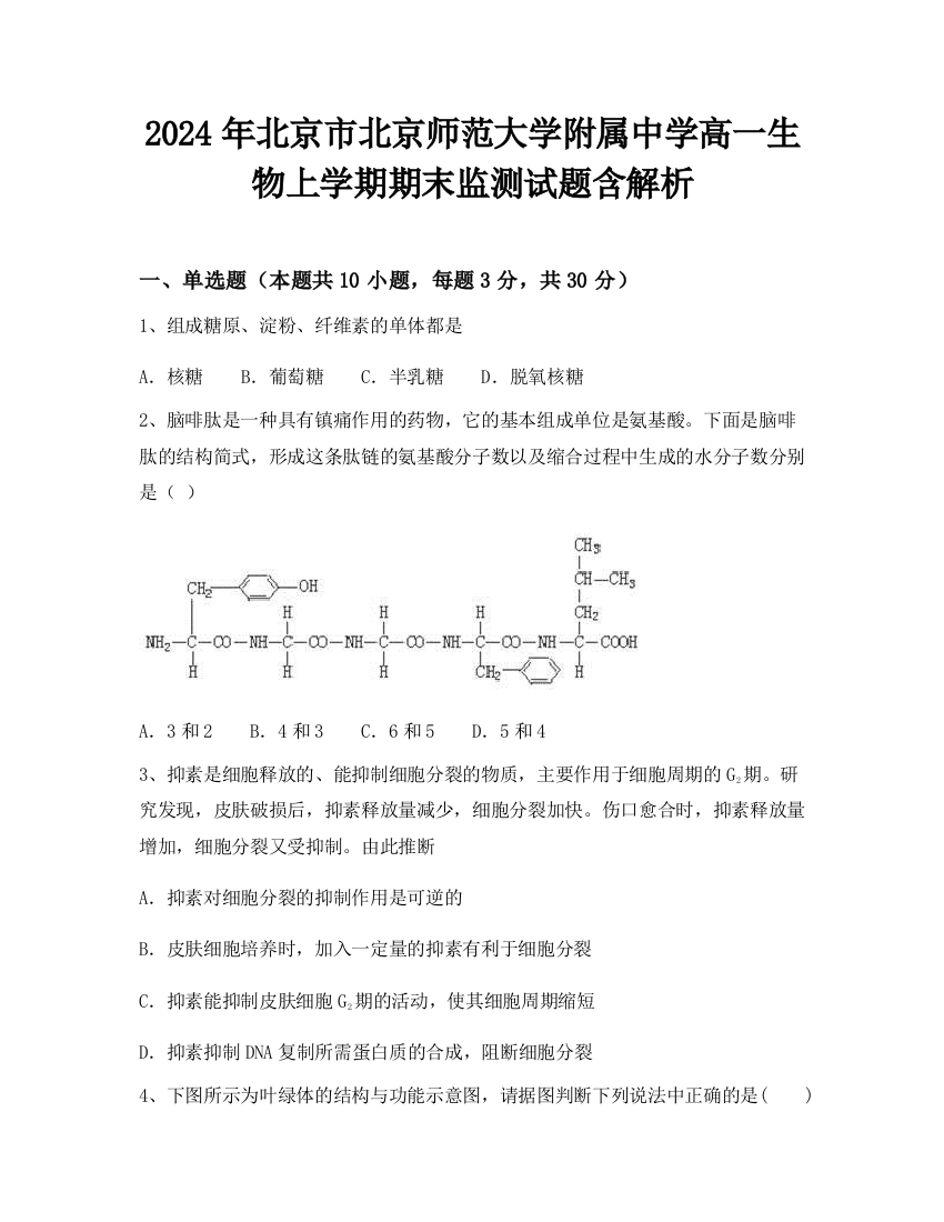 2024年北京市北京师范大学附属中学高一生物上学期期末监测试题含解析