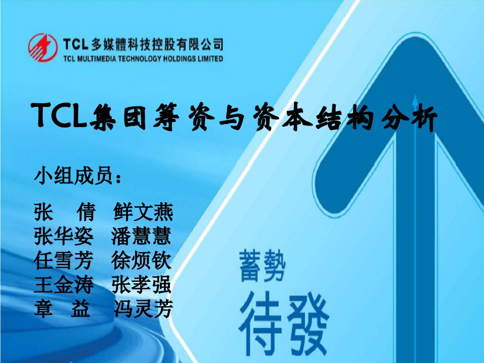 TCL集团筹资与资本结构分析PPT课件