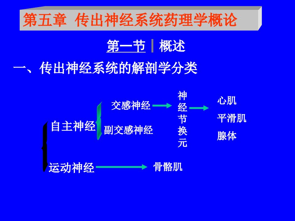 药理学课件第五章传出神经系统药理学概论