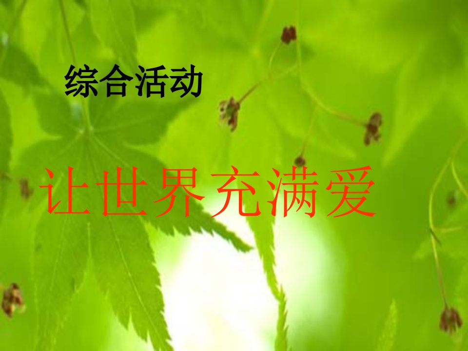 《让世界充满爱》综合性学习