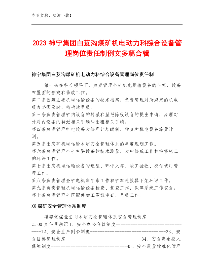 2023神宁集团白芨沟煤矿机电动力科综合设备管理岗位责任制例文多篇合辑