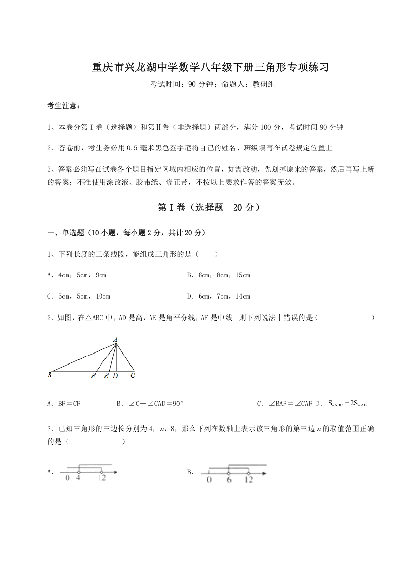 重难点解析重庆市兴龙湖中学数学八年级下册三角形专项练习试卷