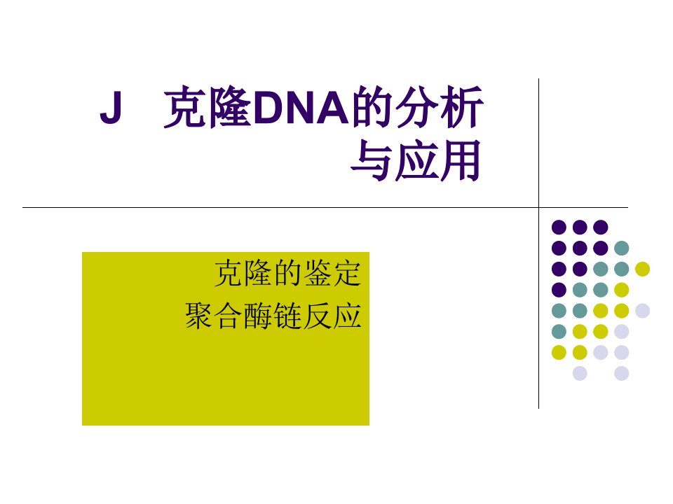 J克隆DNA的分析与应用