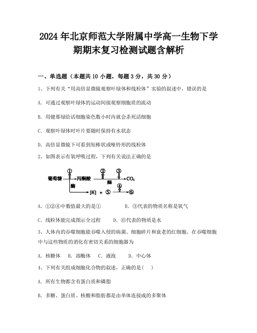 2024年北京师范大学附属中学高一生物下学期期末复习检测试题含解析