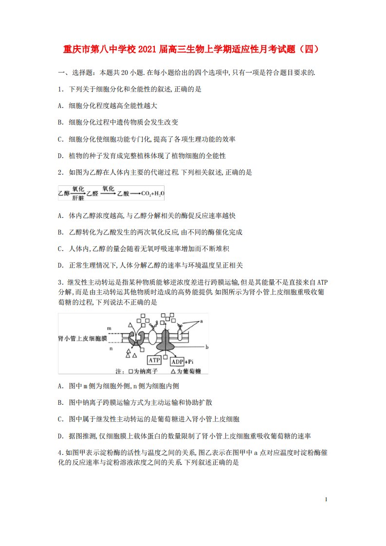 重庆市第八中学校2021届高三生物上学期适应性月考试题四