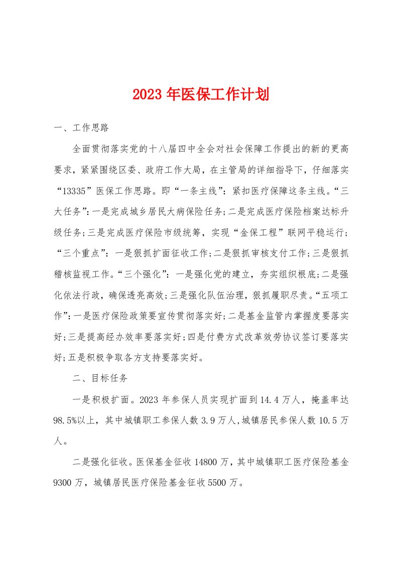 2023年医保工作计划