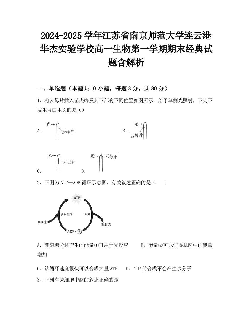 2024-2025学年江苏省南京师范大学连云港华杰实验学校高一生物第一学期期末经典试题含解析