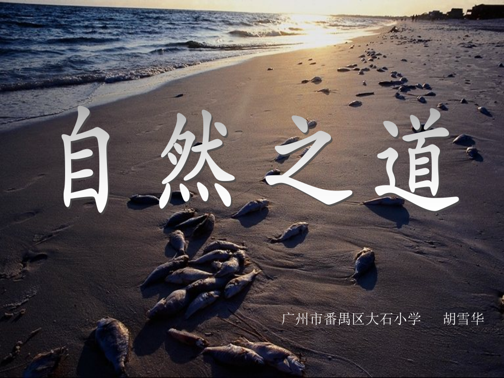 9《自然之道》课件