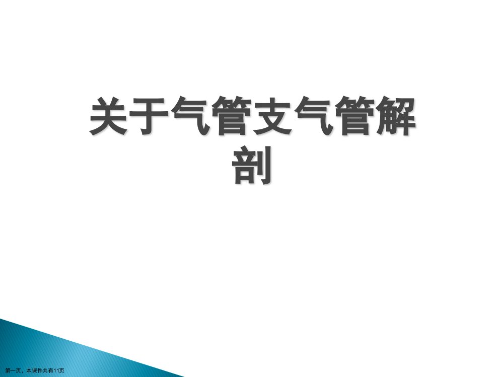 气管支气管解剖精选课件