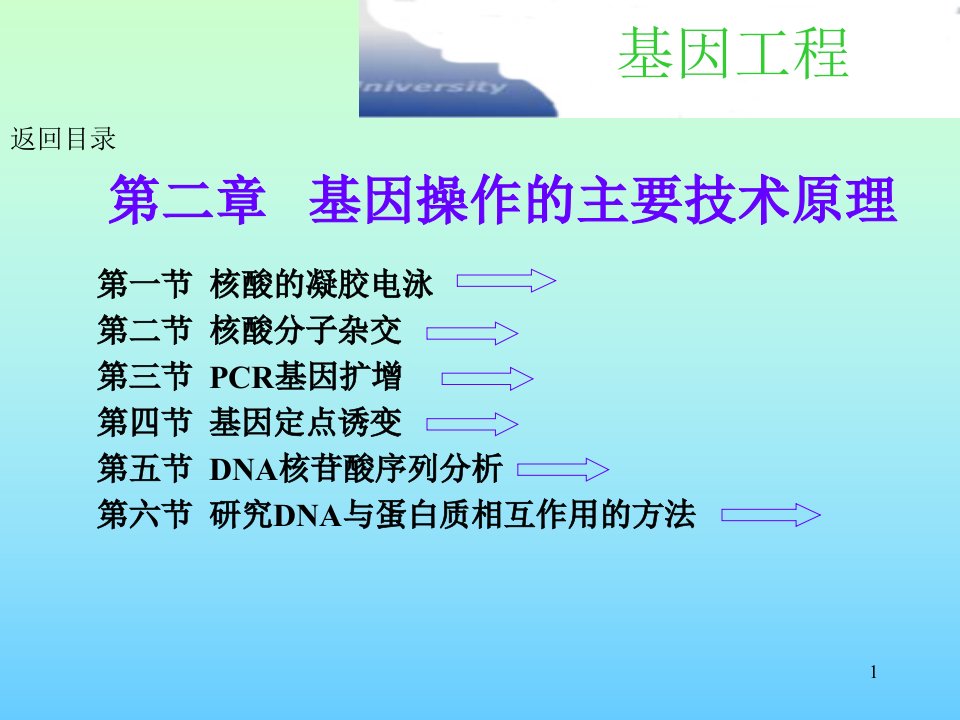 基因工程主要技术原理-电泳、杂交