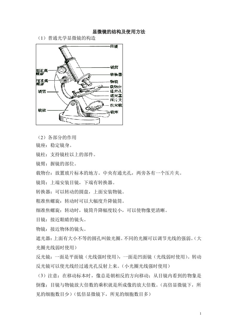 实验一用显微镜观察永久装片