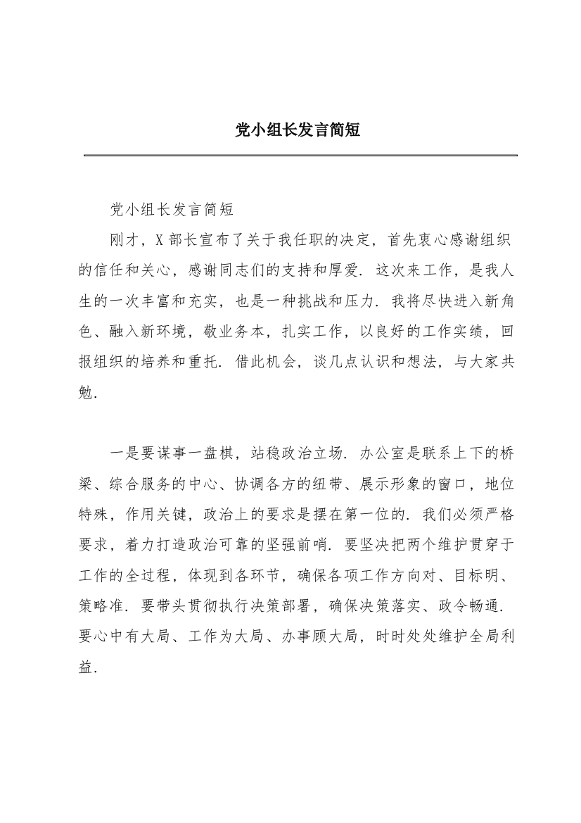 党小组长发言简短