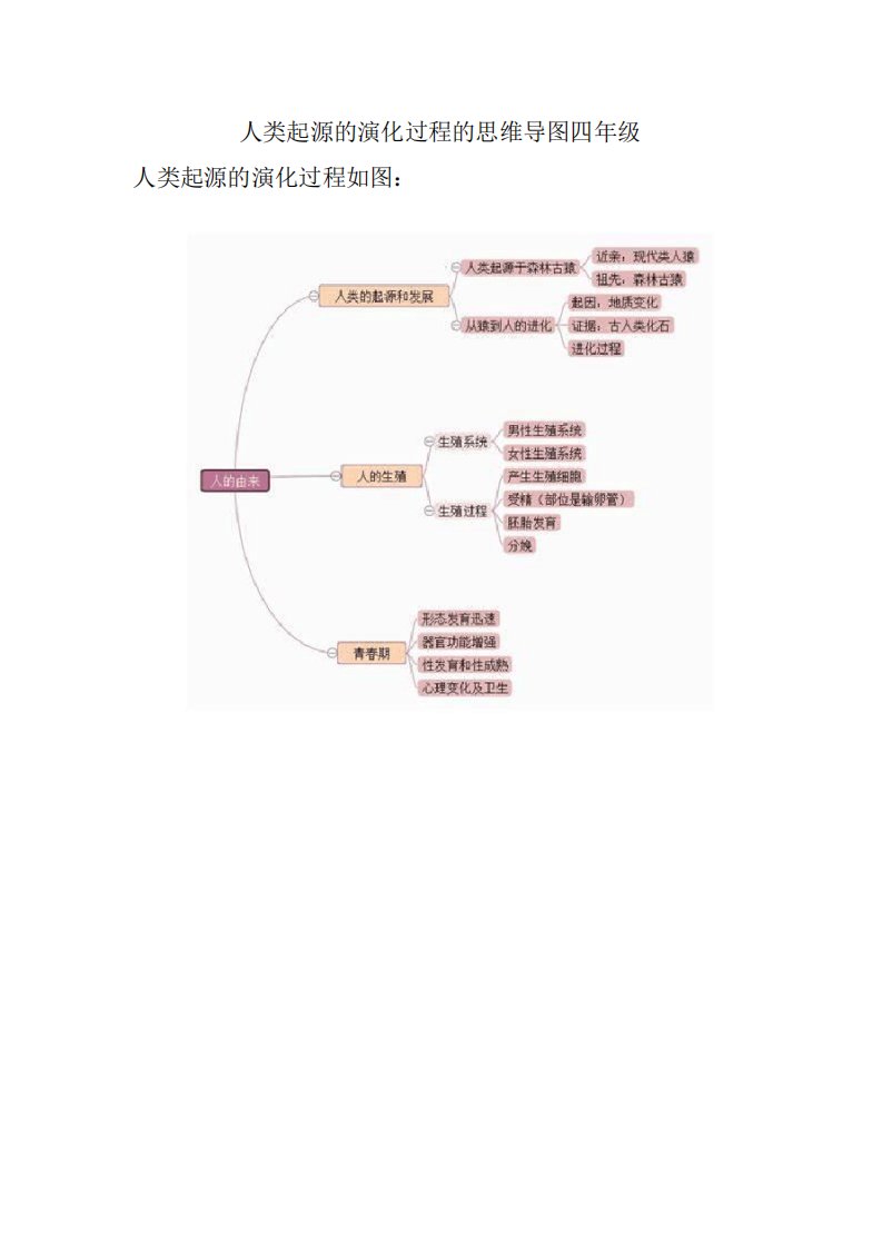 人类起源的演化过程的思维导图四年级