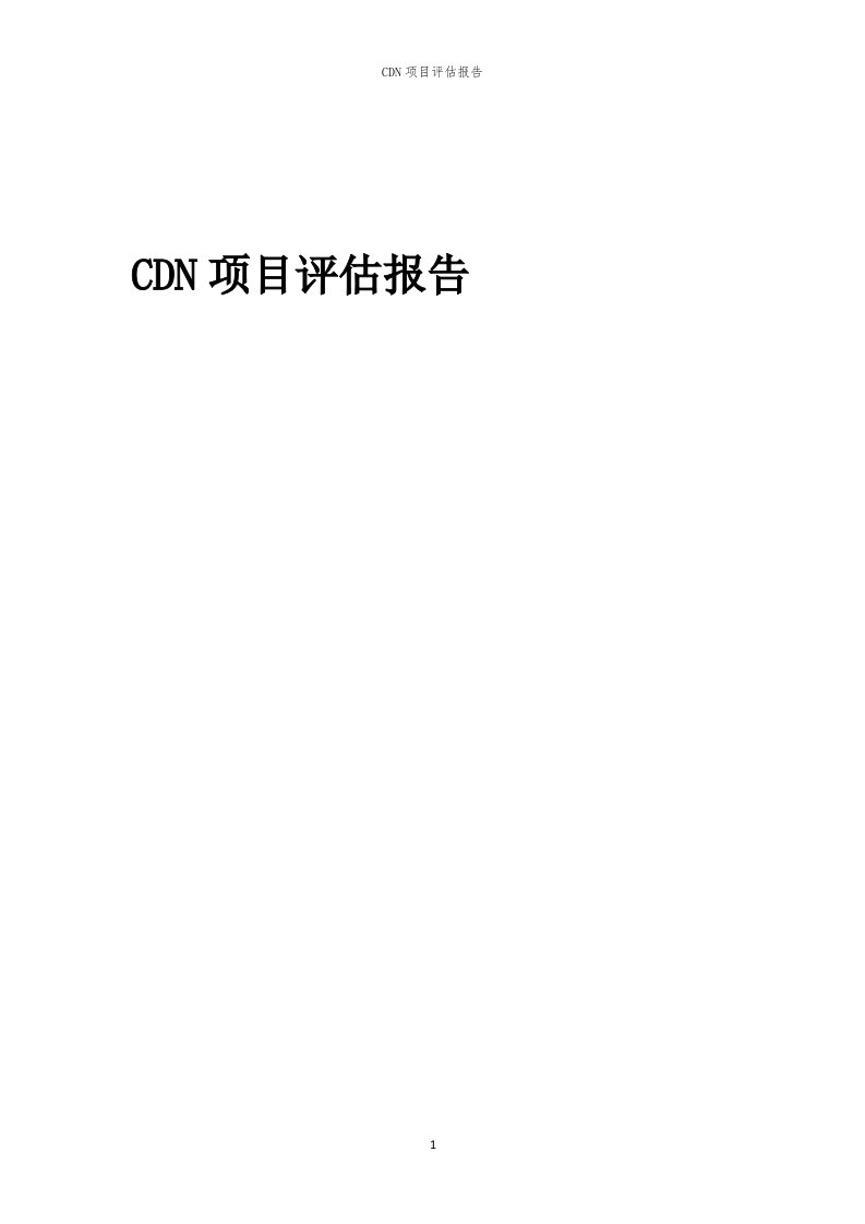 2023年CDN项目评估报告