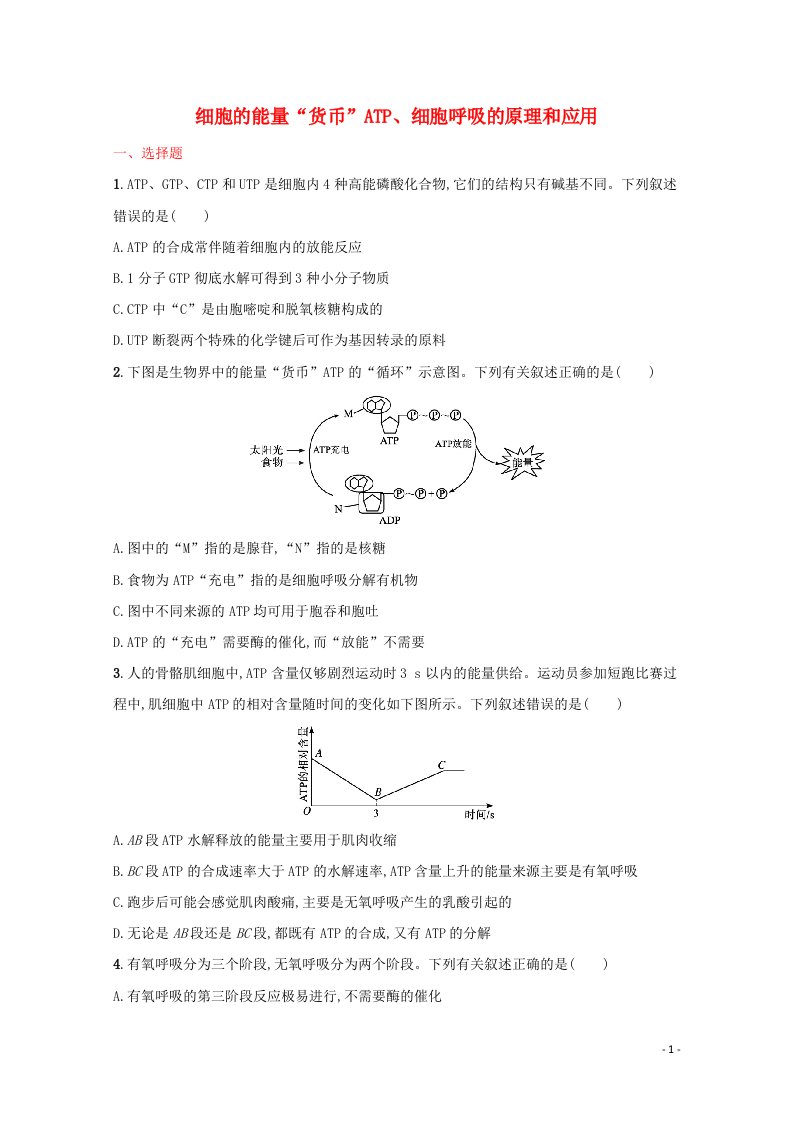 2022届新教材高考生物一轮复习考点规范练9细胞的能量“货币”ATP细胞呼吸的原理和应用含解析新人教版