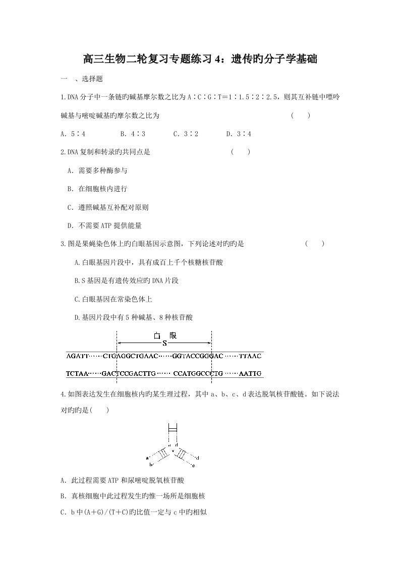 高三生物二轮复习专题练习遗传的分子学基础(10)