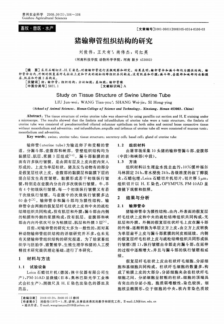 猪输卵管组织结构的研究.pdf