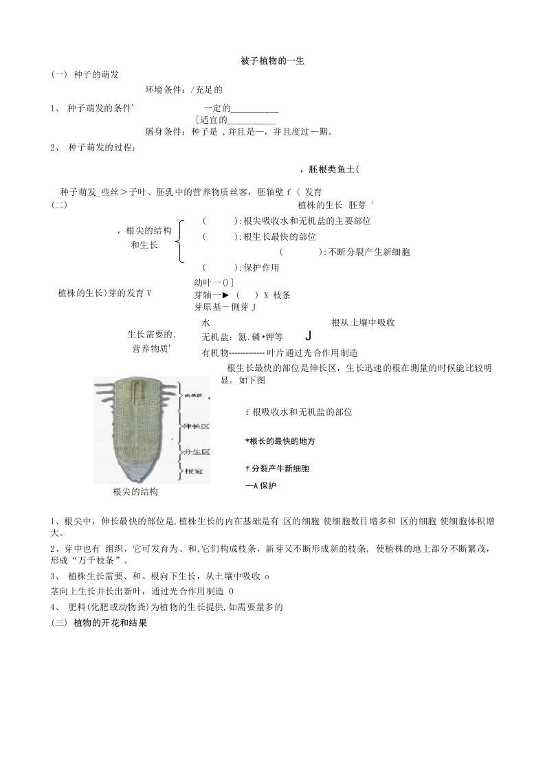 被子植物的一生复习题