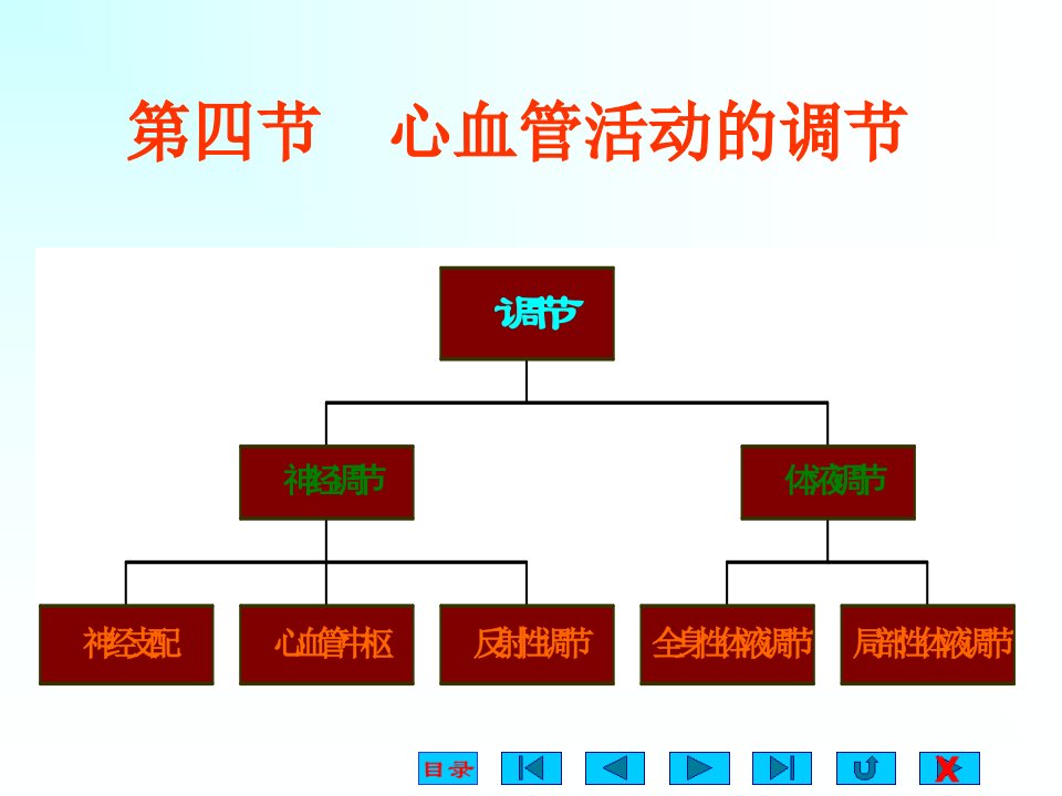 血液循环心血管活动的调节