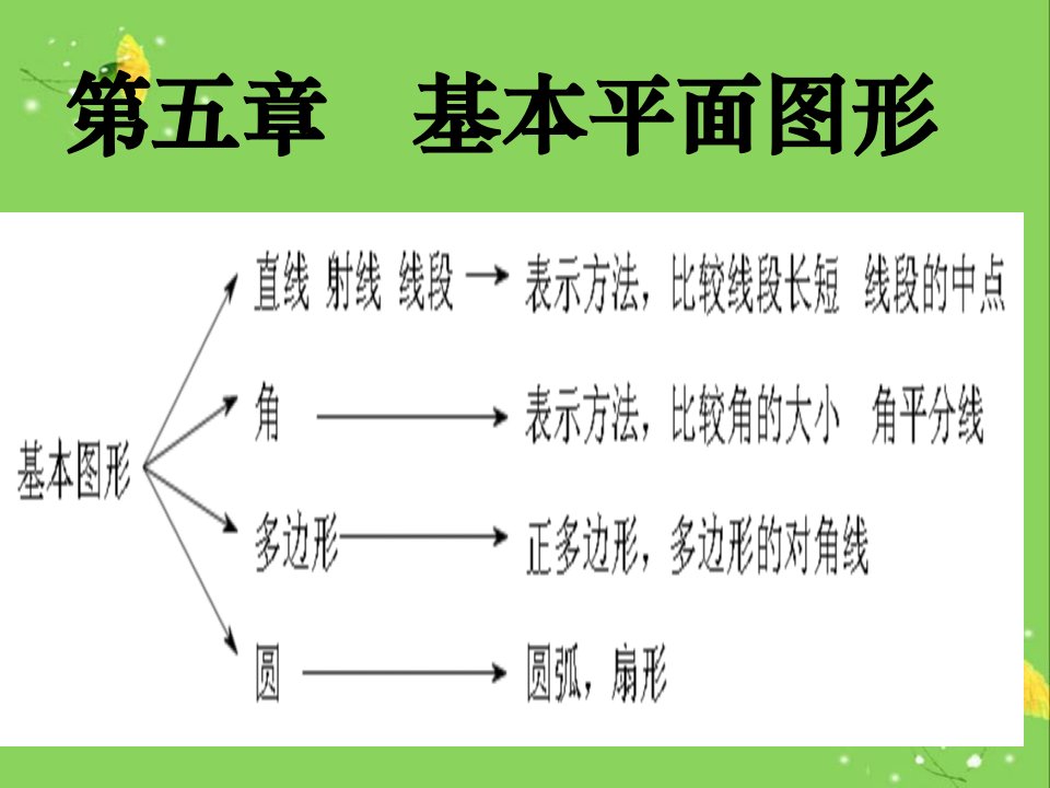 鲁教版数学六年级下册第五章《基本平面图形》复习