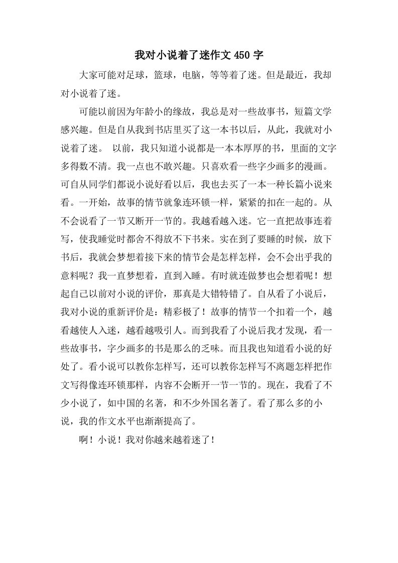 我对小说着了迷作文450字