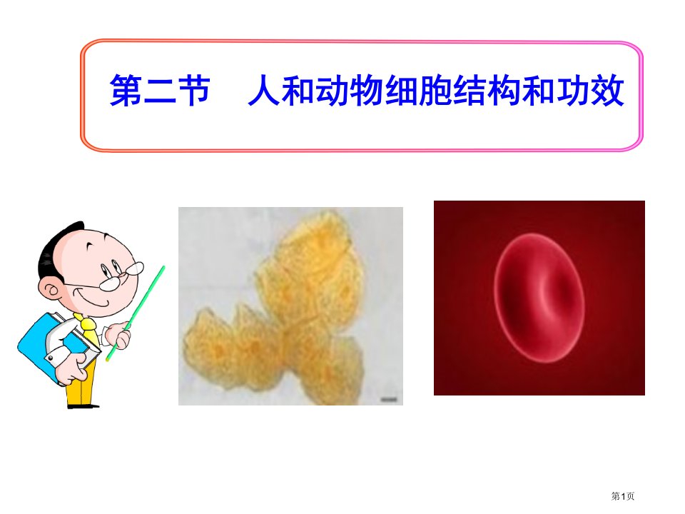 七年级生物上册3.2人和动物细胞的结构和功能市公开课一等奖省优质课赛课一等奖课件