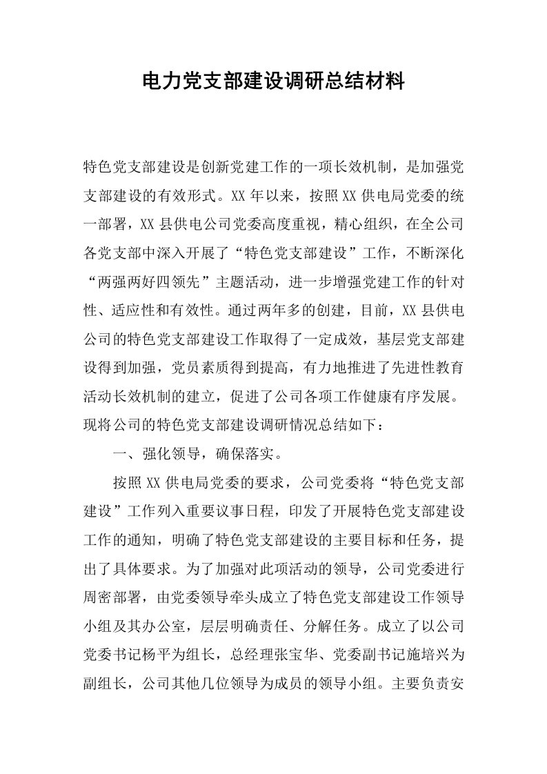 电力党支部建设调研总结材料.docx