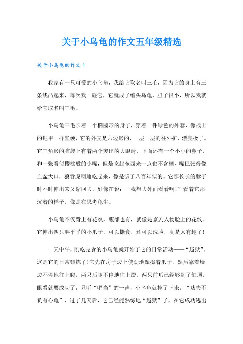 关于小乌龟的作文五年级精选