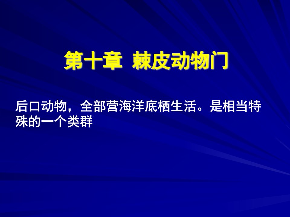 第十章棘皮动物门