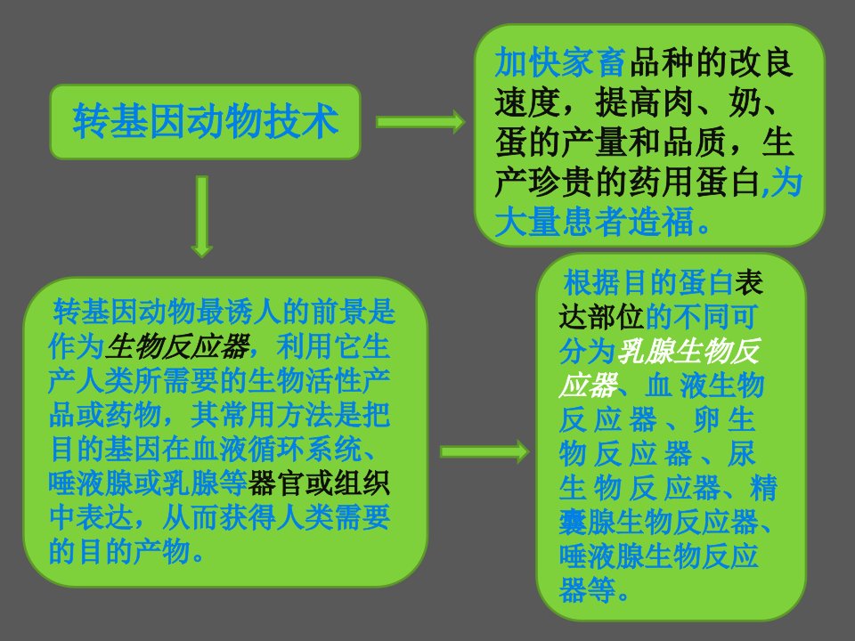 乳腺生物反应器复习进程