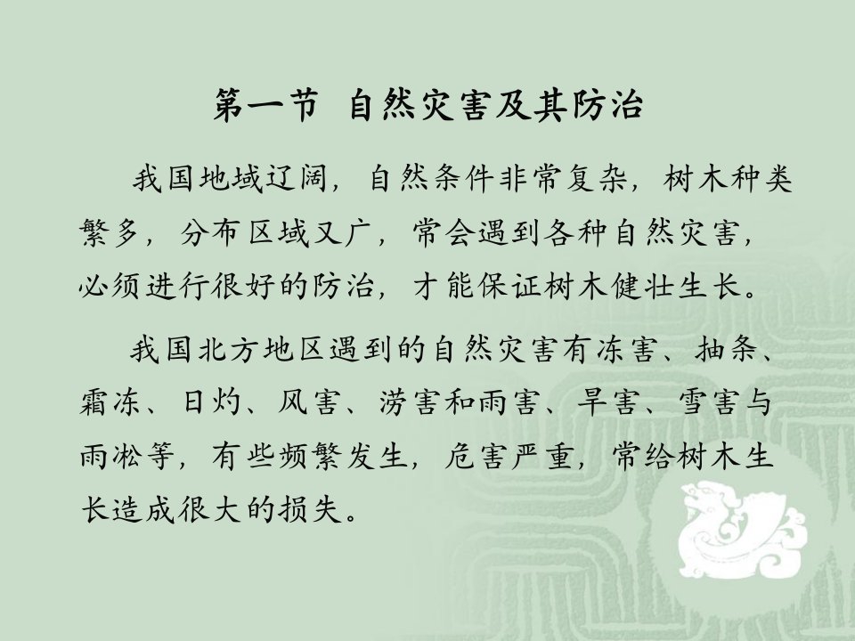 园林树木各种灾害的防治及树体保护ppt课件