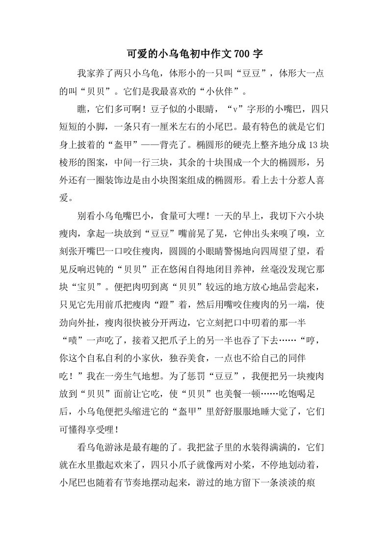 可爱的小乌龟初中作文700字