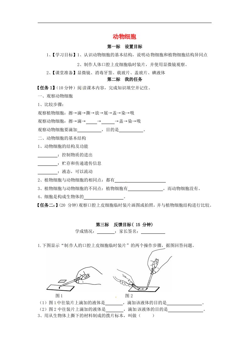 云南省昆明市西山区团结七年级生物上册