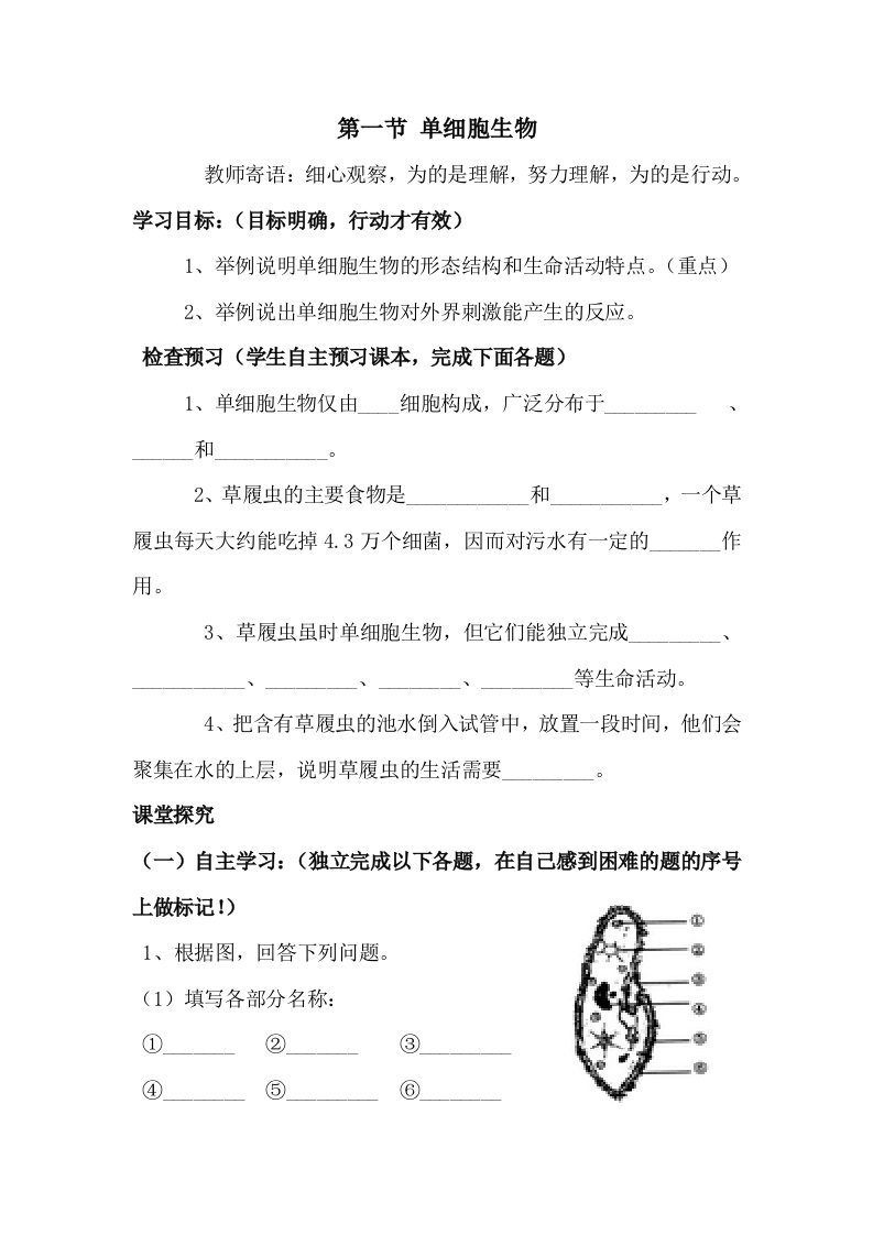 生物：4.1《单细胞生物》导学案（苏教版七年级上）