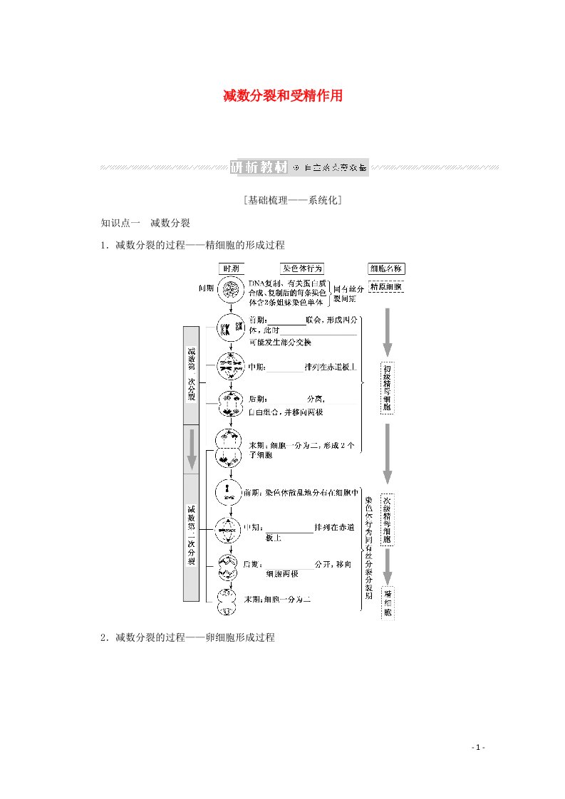 2022届新教材高考生物一轮复习第四单元细胞的生命历程2减数分裂和受精作用课前学案必修1