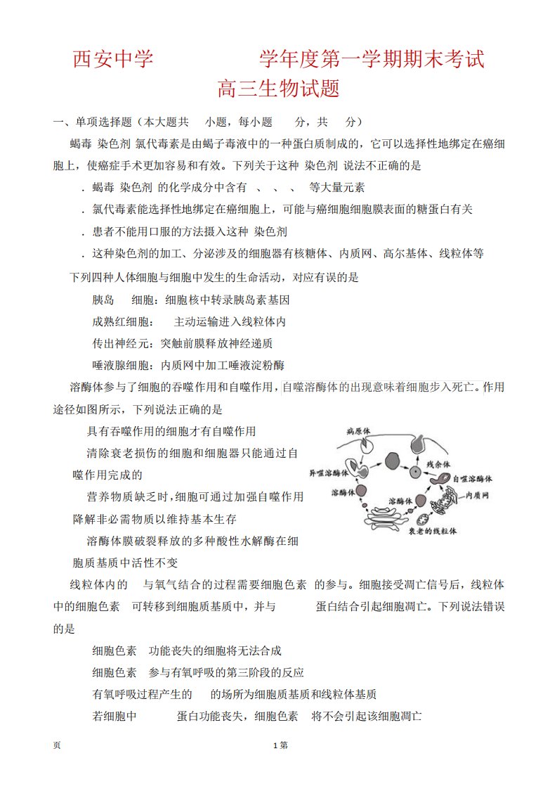 陕西省西安中学高三上学期期末考试生物试题