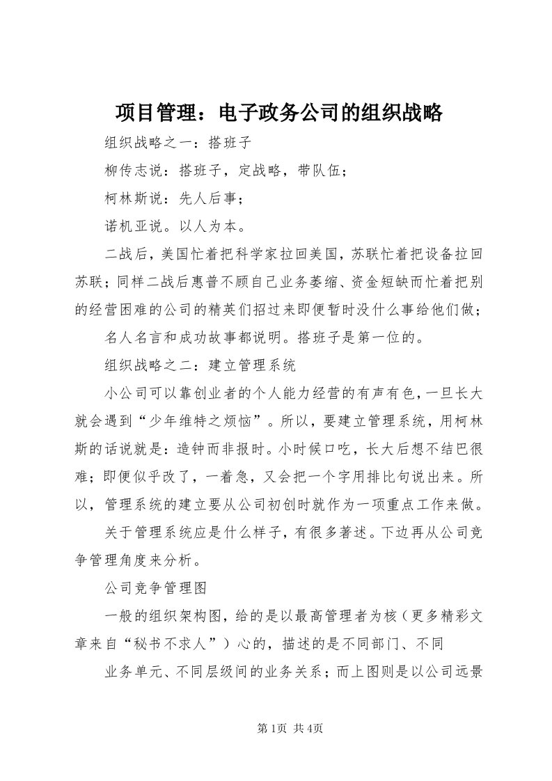 6项目管理：电子政务公司的组织战略