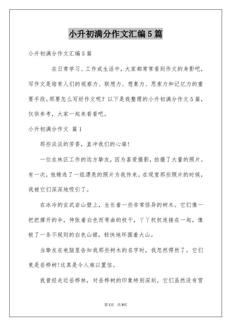 小升初满分作文汇编5篇