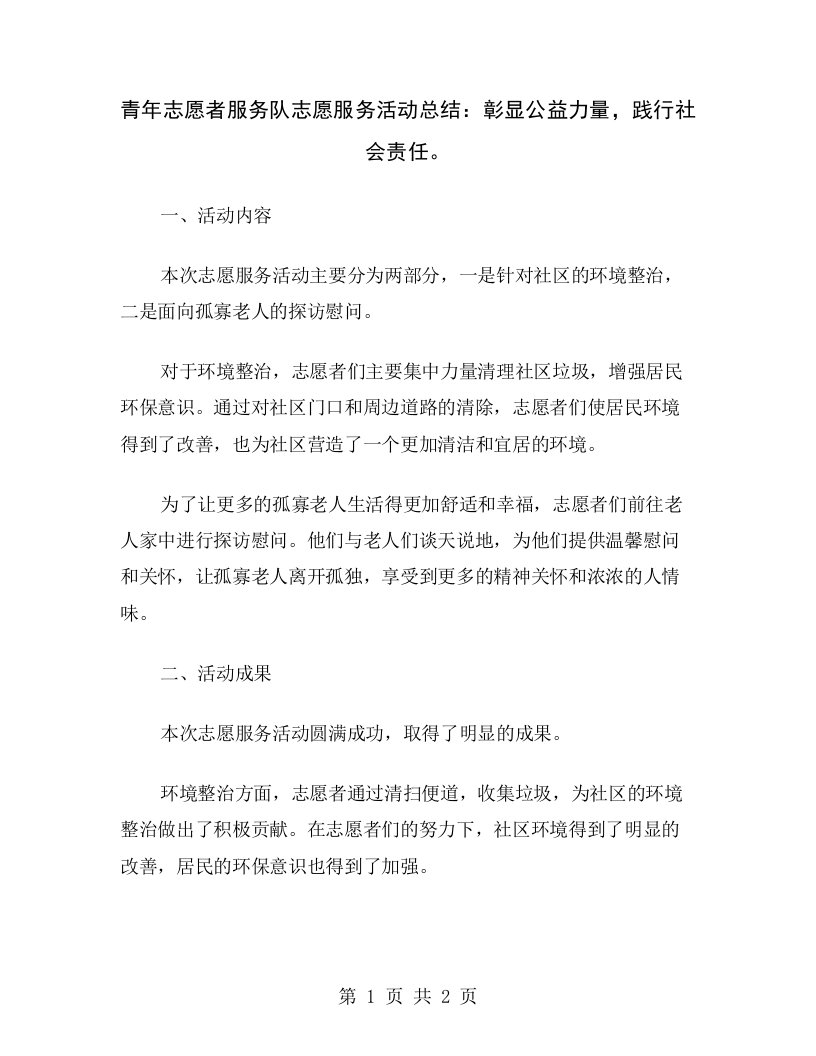 青年志愿者服务队志愿服务活动总结：彰显公益力量，践行社会责任