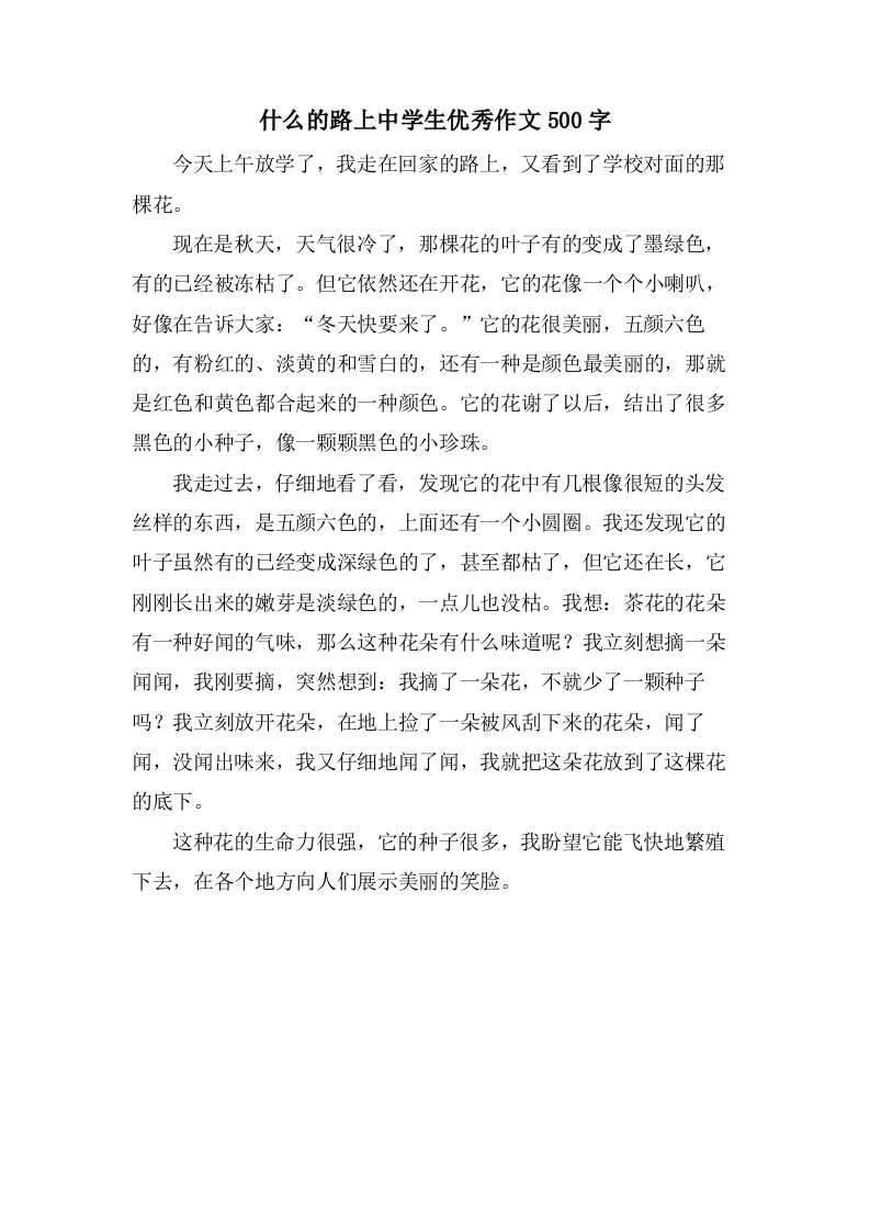 什么的路上中学生优秀作文500字