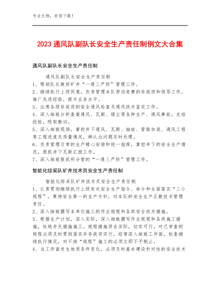 2023通风队副队长安全生产责任制例文大合集