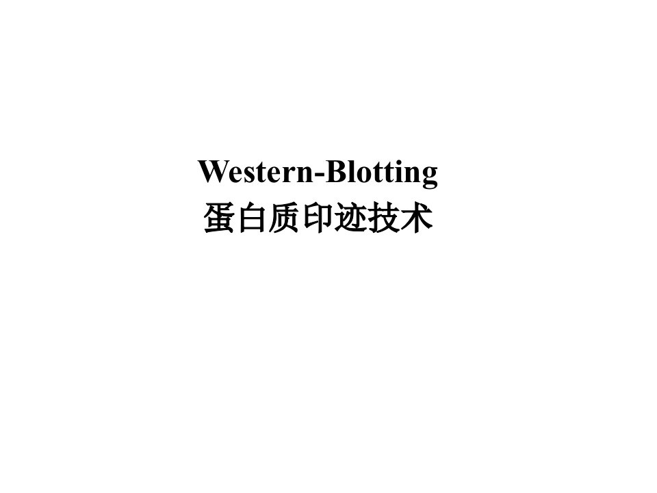 技术人员培训课件：western