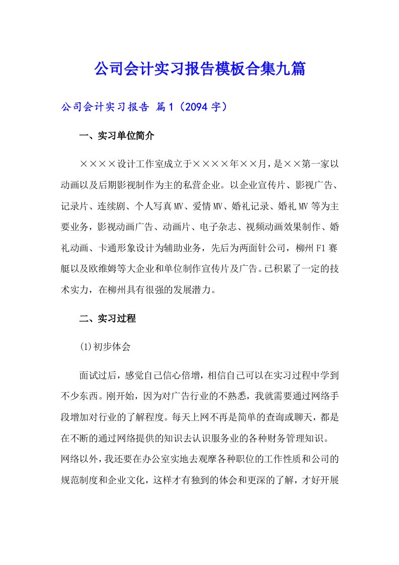 公司会计实习报告模板合集九篇