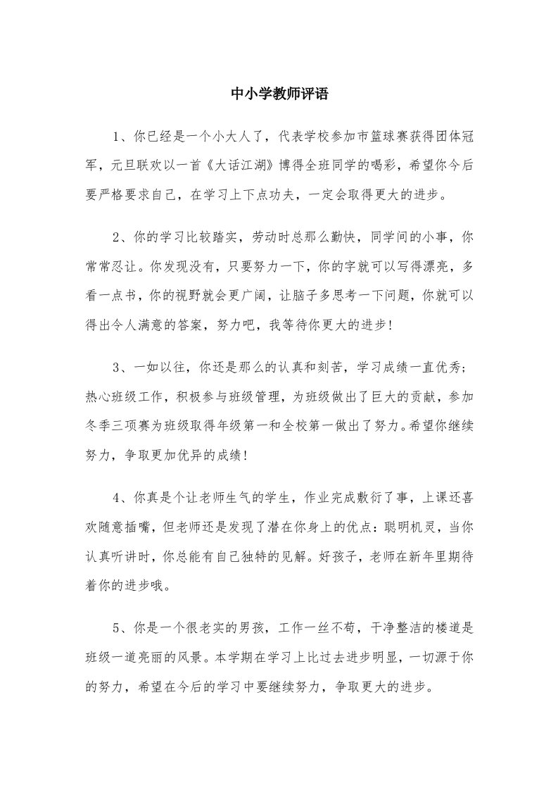 中小学教师评语