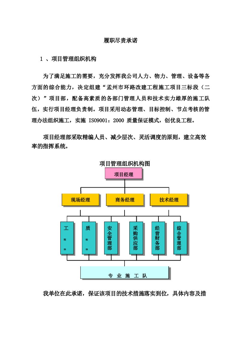 项目履职尽责承诺