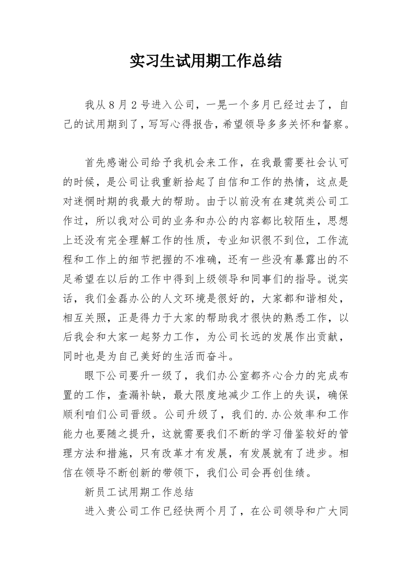 实习生试用期工作总结